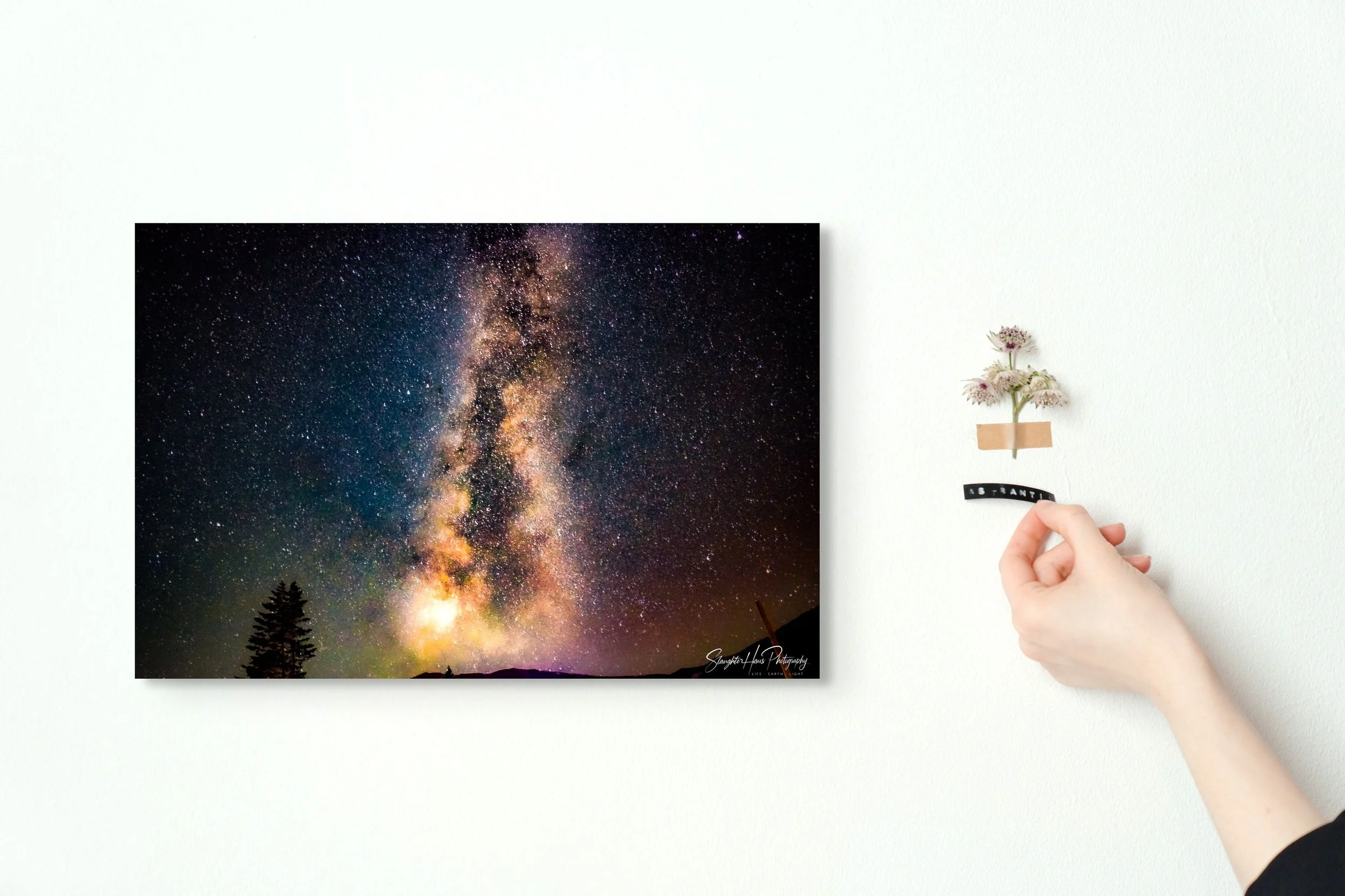 Celestial Horizons Canvas Print | Milky Way, Peak 8
